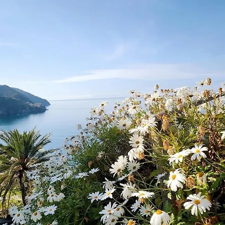Daire La Coccinella, Amazing Views